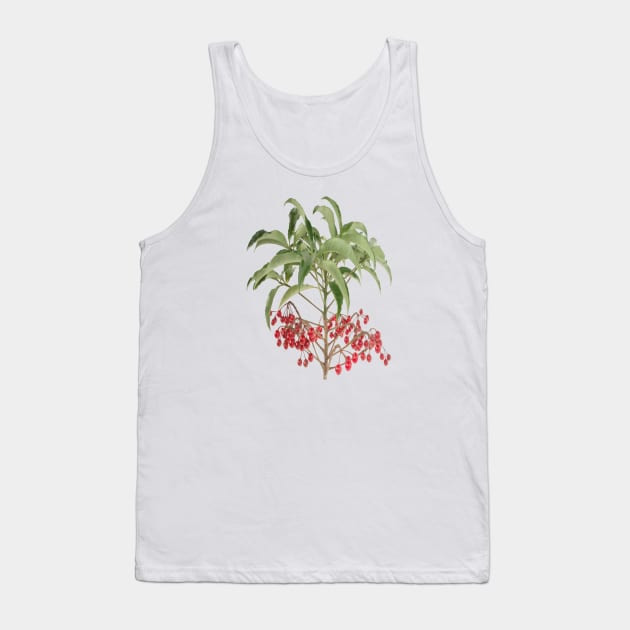 Spice Berry Ardisia Evergreen Shrub Vector Tank Top by taiche